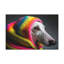 Wall Art on Canvas-1124246124