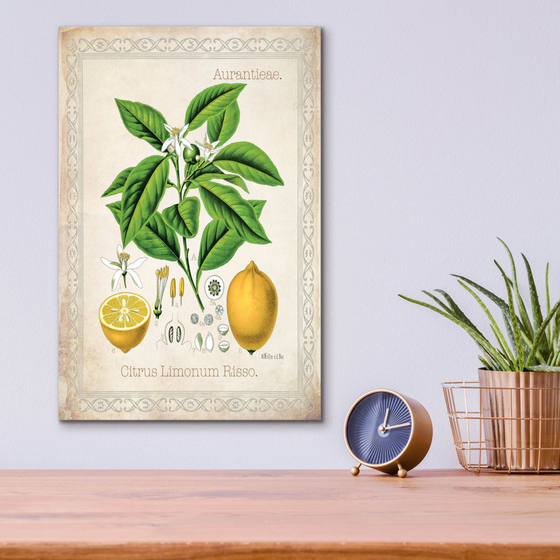«Citrus Limonum Risso» par Jean Plout, art mural en verre acrylique, H 16 po x l 12 po x P 0,13 po