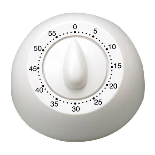 https://assets.wfcdn.com/im/51982984/compr-r85/1013/10133176/taylor-long-ring-mechanical-timer-in-white.jpg