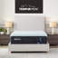 TEMPUR-ProAdapt® Soft 12" Mattress-111646931
