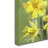 Armand 'Easter Lamb' Print on Canvas-21649812
