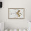 Exton Elias Pterodactyl Fossil - Single Picture Frame Painting-37753602