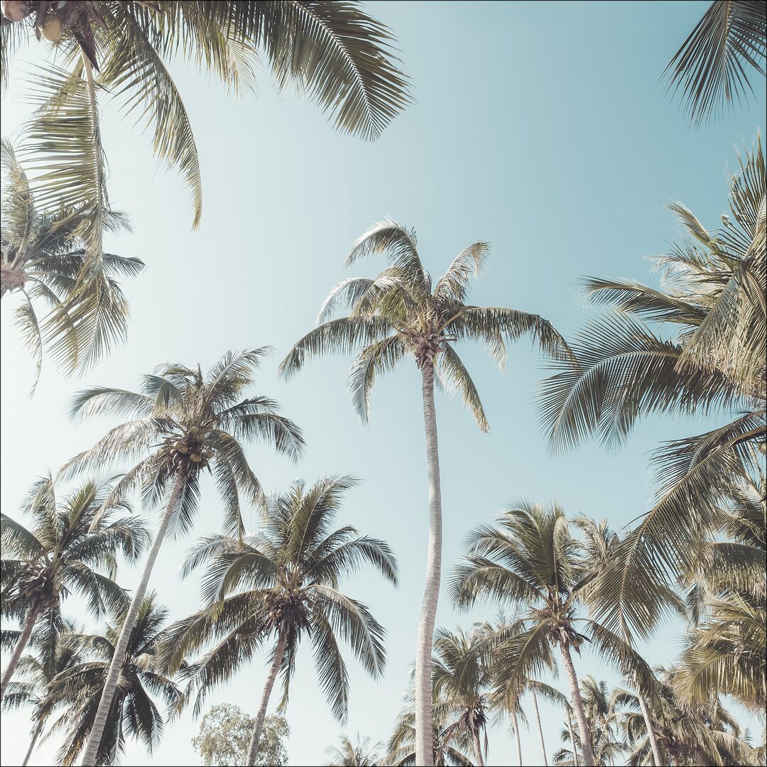 Leinwandbild Palms On Beach II