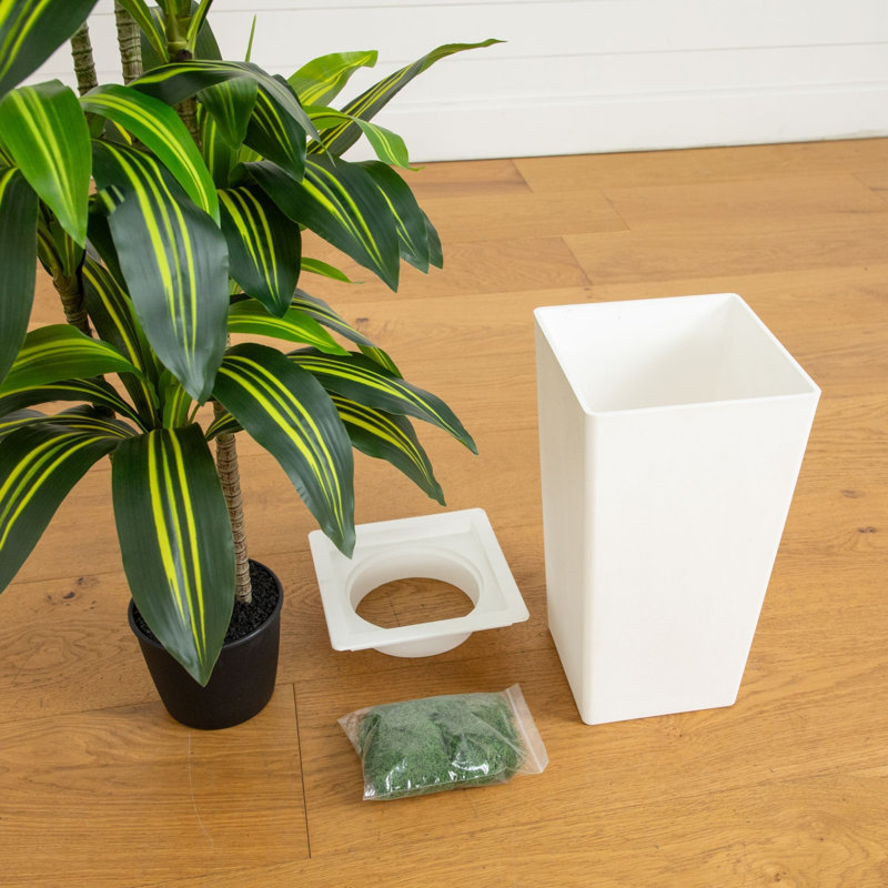 5 pi Dracaena artificielle en pot décoratif, White