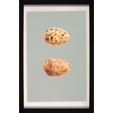 Classic Egg Study 4 Print