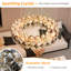 Aiace 8 - Light Crystal Chandelier