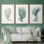 Antique Coastal Coral VI, reproduction sur toile 3 pièces-91887468-91887469