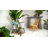 Wellston Pot Planter-294696555