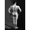 " Bodybuilder "