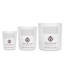 Bougie en cire Baies-111113471