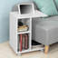Carrion C Table End Table