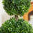 Zeigler 23.6'' H Artificial Boxwood Topiary Tree