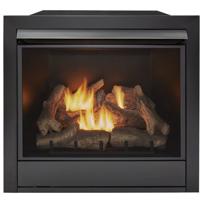 Duluth Forge Liquid Propane Ventless Gas Fireplace Insert - 32,000 BTU, Remote Control - Model# FLI32R