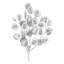 Art sur toile tendue avec Lark Manor ™, Scarvey, Emma, Eucalyptus II-1207772006