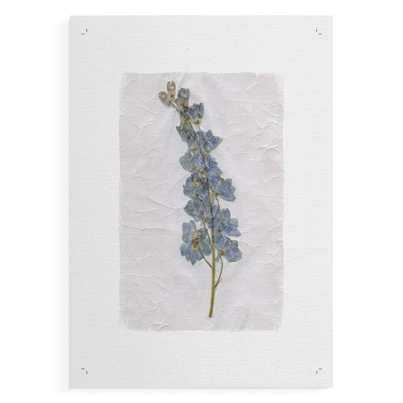 Découpage floral I - Impression sur toile seulement - NON CADRE, H 60 po x l 40 po