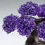 Small Amethyst Clustered Gemstone Tree on Amethyst Matrix (The Protection Tree)