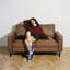 2 Seater Sofa-284765795