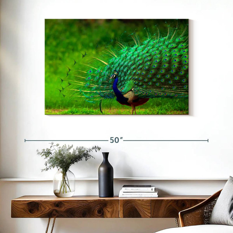 Plumage bleu paon bleu brillant, H 26 po x l 39 po
