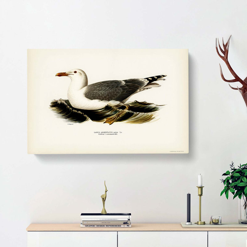 Herring Gull by Von Wright - Wrapped Canvas, 50cm H x 76cm W x 3cm D