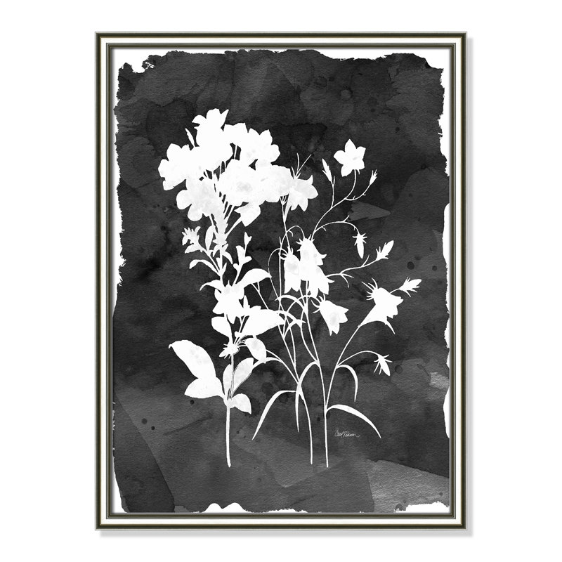 «Black Botanical II» par Carol Robinson - reproduction de photo sur papier encadrée, H 24,25 po x l 18,25 po x P 0,88 po