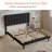 Modern Simple Colorful Upholstered Platform Bed Frame, Mattress Foundation With Wooden Slats, No Box Spring Required Frame For Solid Support-808048281-808048282