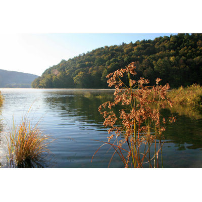 " Allegheny River " by Reflectionsbygeno