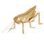 Waiel Resin Cricket Figurine 