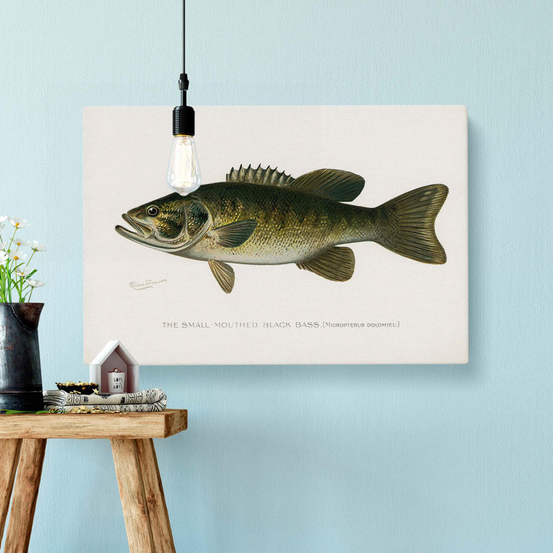 Small-Mouthed Black Bass by Sherman F. Denton - Wrapped Canvas, 35cm H x 50cm W x 3cm D