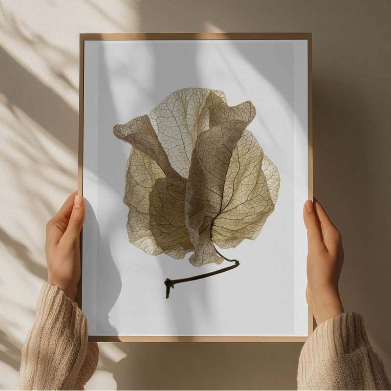 Wrapped Canvas Print, 50.8 cm H x 76.2 cm W