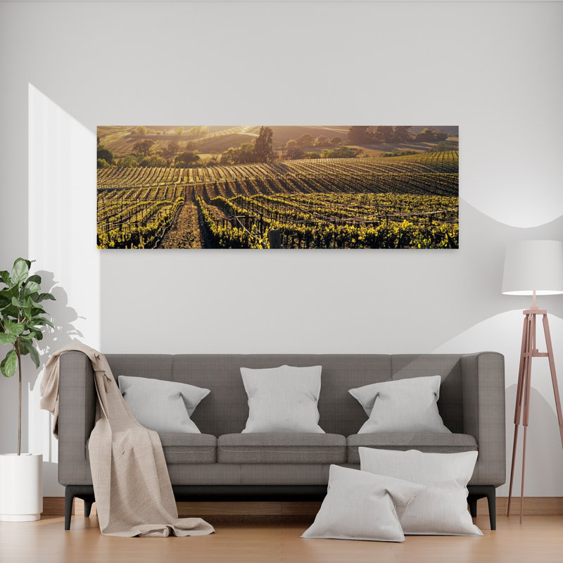 Vue aérienne de lignes dans un vignoble, vallée de Careros, Californie, États-Unis, H 20 po x l 60 po