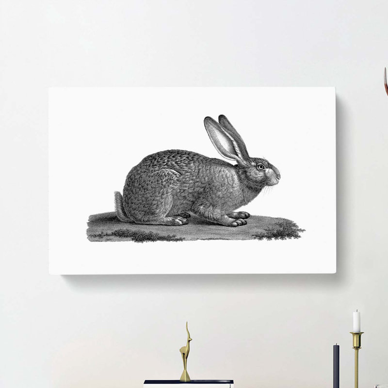 Illustration of a Hare - Wrapped Canvas, 35cm H x 50cm W x 3cm D