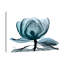 Midnight Magnolia 1 - Wrapped Canvas Print-1811972099