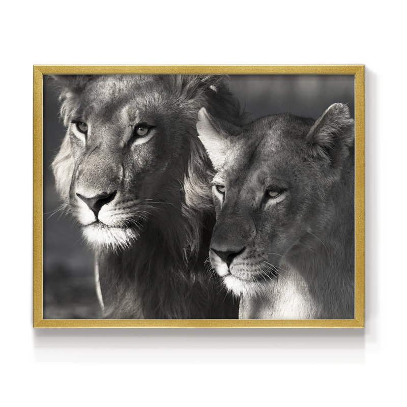 Lion et lionne - reproduction encadrée - réarmable, Doré, H 16 po x l 20 po