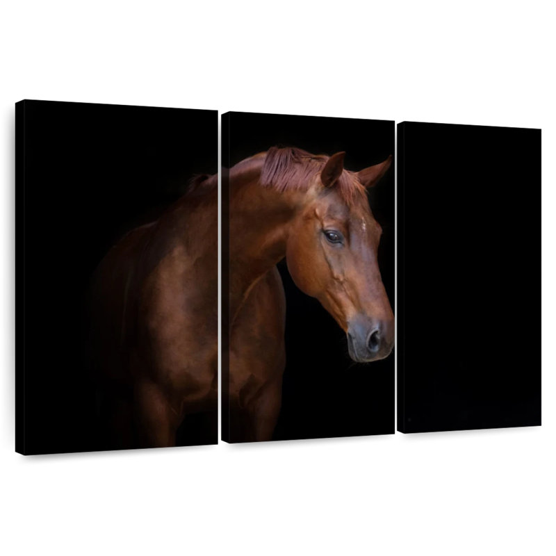 Brampt A Horse, 48" H x 74" W