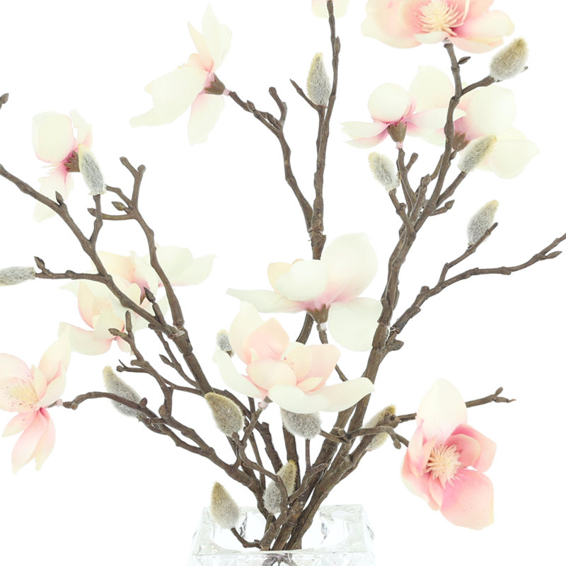 Magnolias disposés dans un vase en verre, Rose / blanc / brun