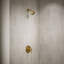 Kohler Pitch Rite-Temp Shower Trim Kit With 1.75 GPM Water-Saving Single-Function Showerhead, Single Spray Setting-85020533