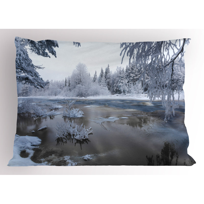 Ensemble de 2 taies décoratives Ambesonne Winter, H 20 po x l 36 po