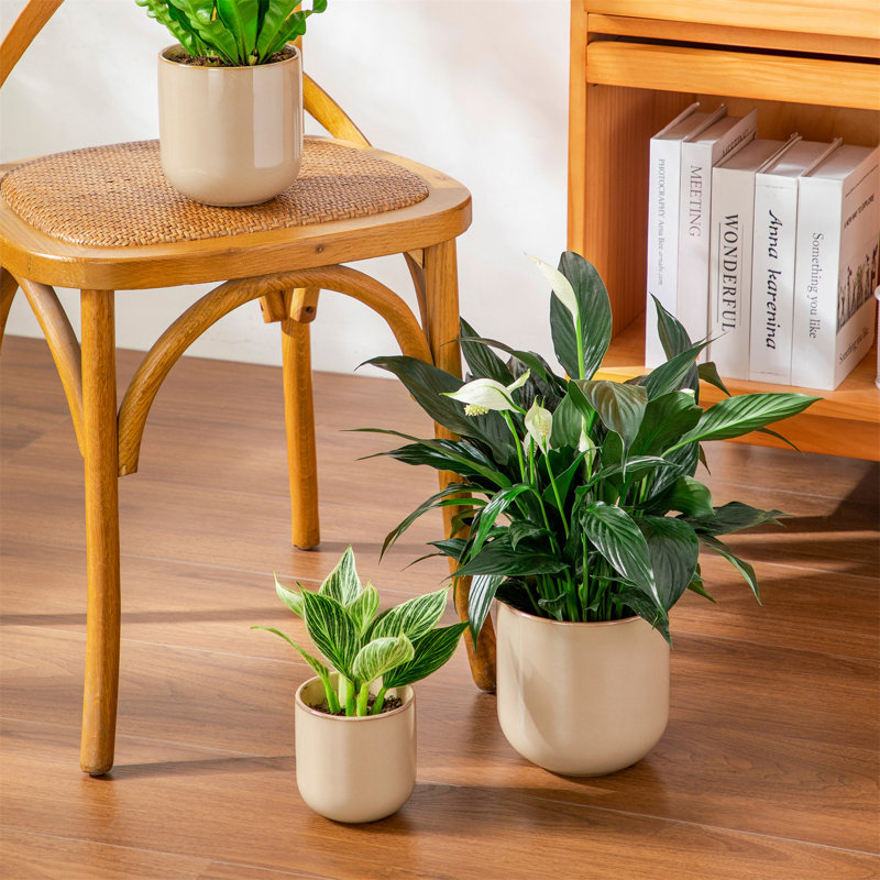 HDHPOT Ceramic Pot Planter, Brown