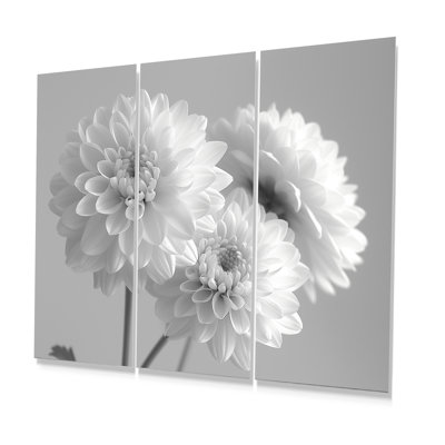 Ensemble de décorations murales monochromes blanc noir et maman «Botanical Beauty II»
