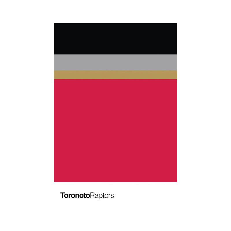 Toronto Raptors Basketball by Avesix - Wrapped Canvas Print, 45.72cm H x 30.48cm W