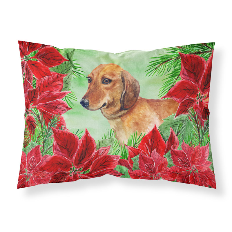 Microfiber, Dachshund