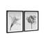 Peeking Flowers Set Set by Oliver Gal-702774602-702774612