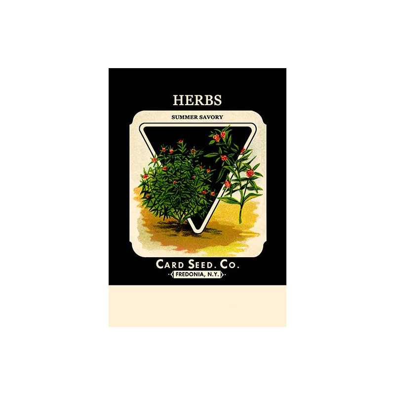 Herbes : affiche rétro savory summer, H 42 po x l 28 po x P 1,5 po