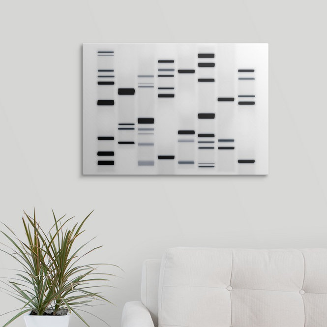 «ADN Art» par Francy, impression en noir et blanc, H 17 po x l 24 po x P 1,5 po, Toile