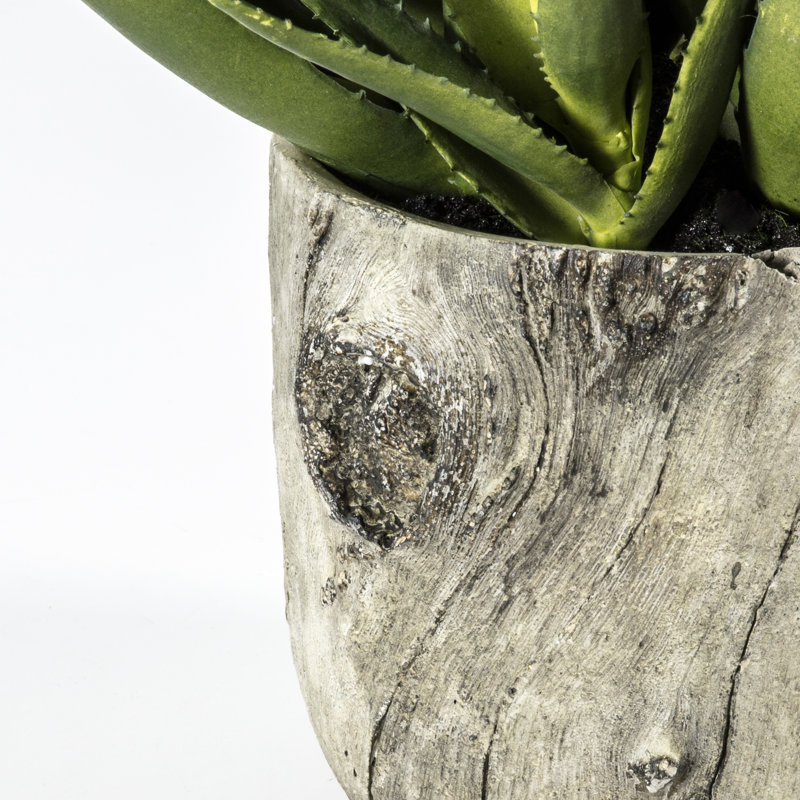 143cm Faux Succulent in Cement Pot