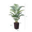 Adcock UV Resistant Artificial Palm Tree, Faux Palm Tree with Decorative Base for Indoor Outdoor-200411184-200411213