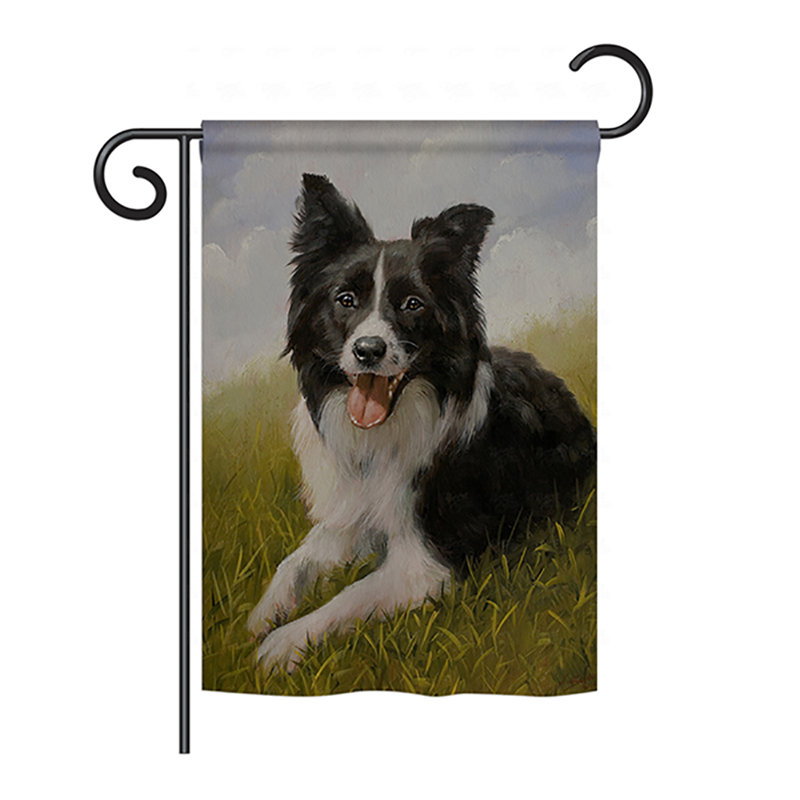 Drapeau de maison Gamella Border Collie, H 40 po x l 28 po