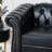 Dushyant 38.98 Wide-808564074-834704776