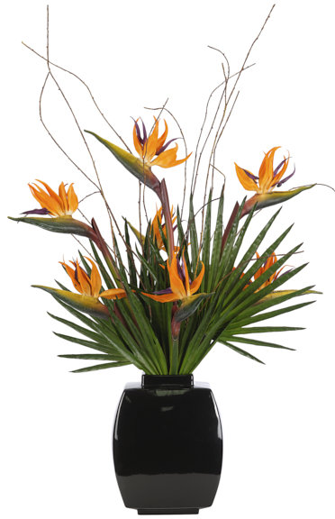 Bird Of Paradise, Orange, Ceramic Vase Black, 26wx19dx41h