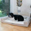 Coussin de lit pour animal de compagnie Armarkat D07B avec mousse à mémoire de forme, ivoire et beige
